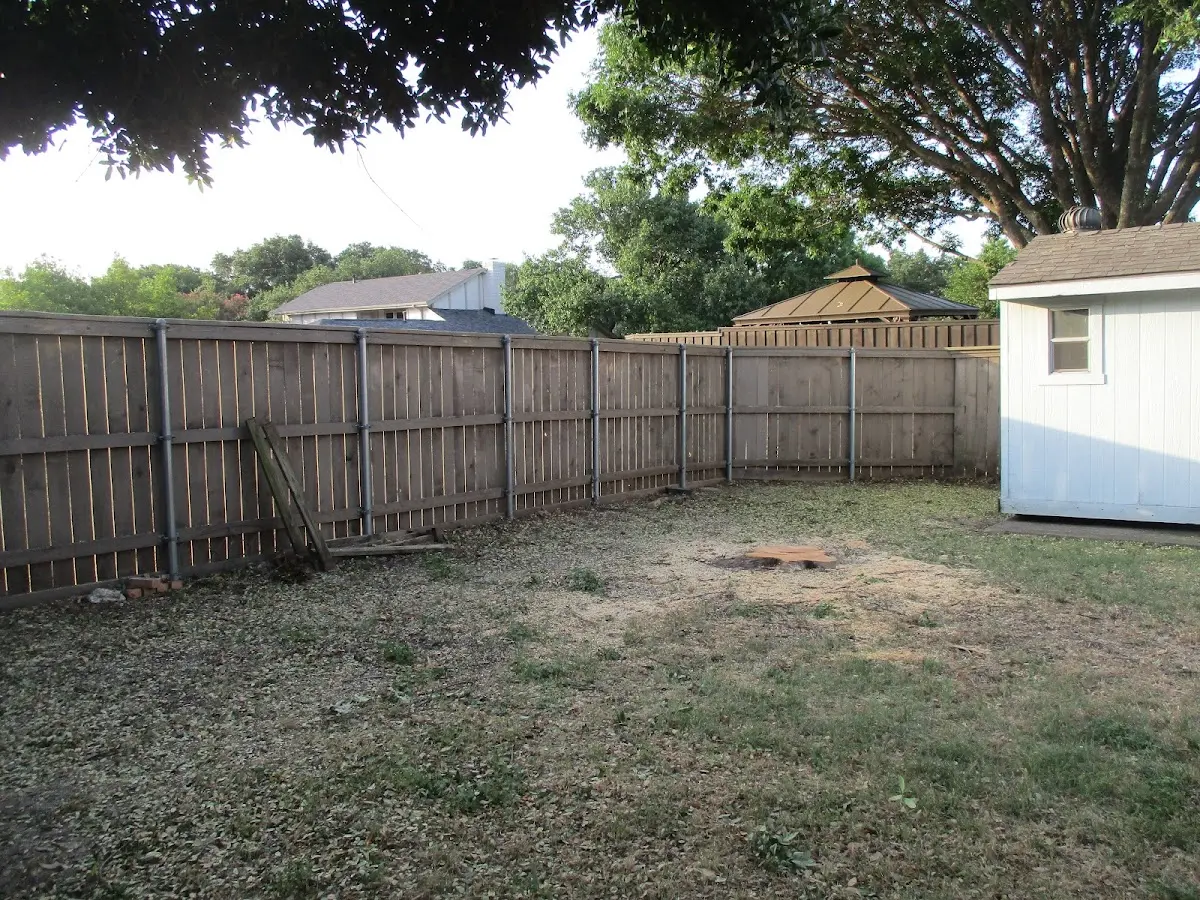Cleared yard after professional tree removal in Agra